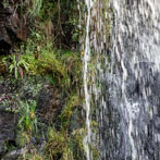 Kisdon Force